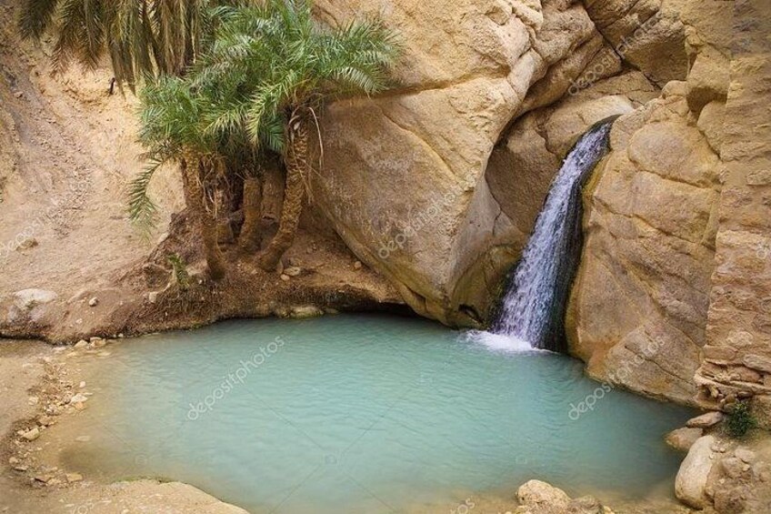 Ein Wasserfall stürzt in einen klaren Pool, umgeben von felsigem Gelände und Palmen. 4