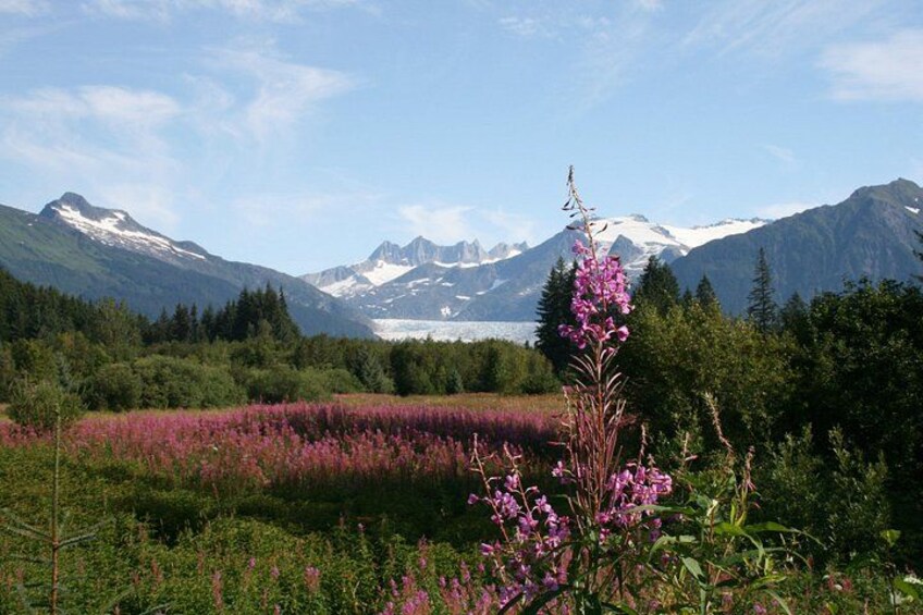 On a sunny day, you can see Mendenhall glacier from Brotherhood Bridge Park. 2