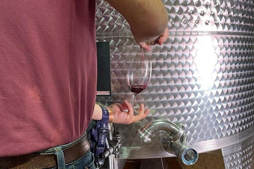 Tasting from the tanks 4