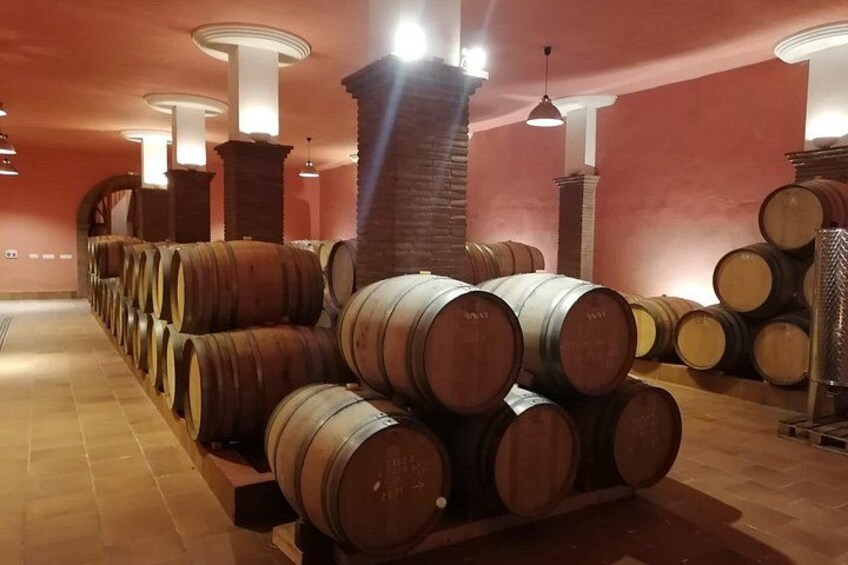 The cellar room 5
