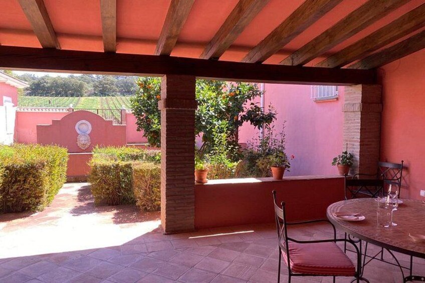Tasting terrace overlooking the vineyards 3