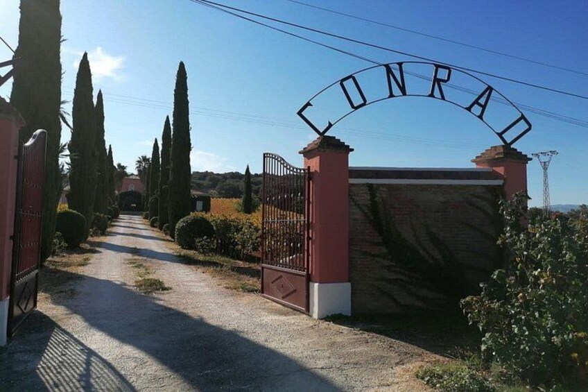 Conrad Guided Cellar Tour and wine tasting in Ronda 1