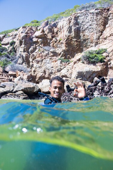 Picture 25 for Activity Plettenberg Bay: Seal Swimming Experience 3