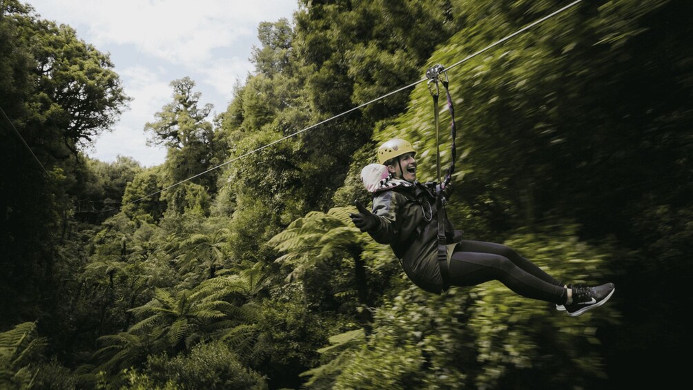 Una persona che vola su una zipline attraverso una foresta. 1