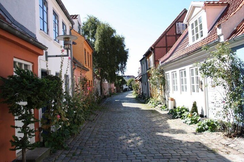 A cobblestone street lined with colorful buildings, a street lamp, and greenery. 2