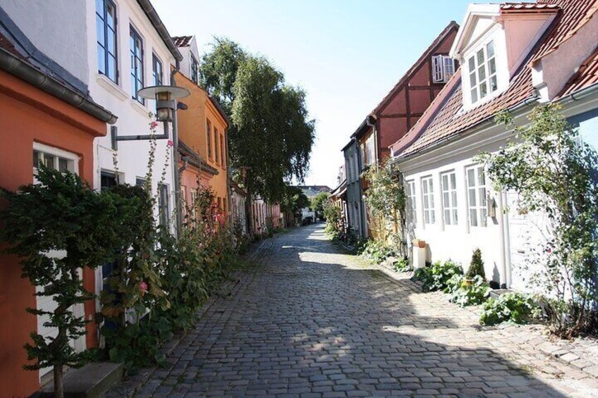 Guided Walking Tour in Aarhus 2