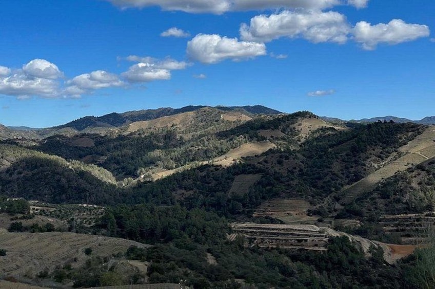 A mountainous landscape with terraced fields and scattered trees. 1