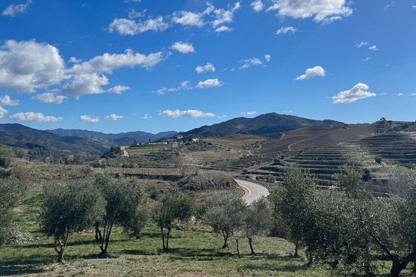 Full Day Guided Experience in Priorat 2