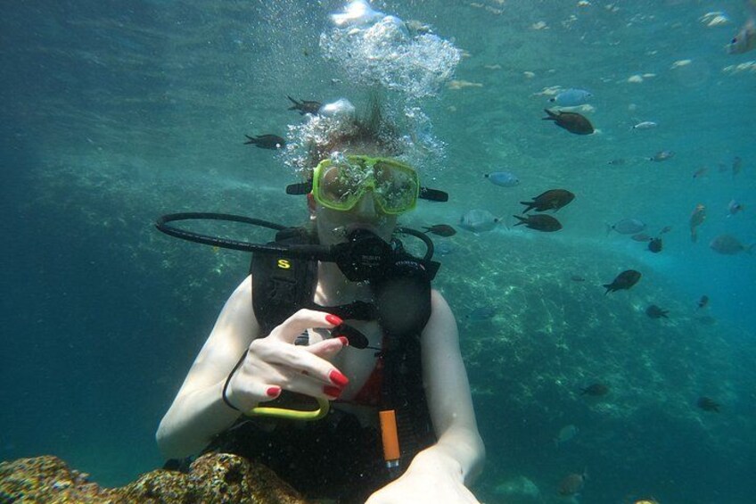 A person scuba diving underwater with a group of fish. 5