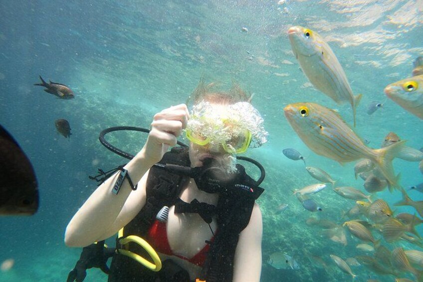 A person scuba diving with a group of fish in the background. 2