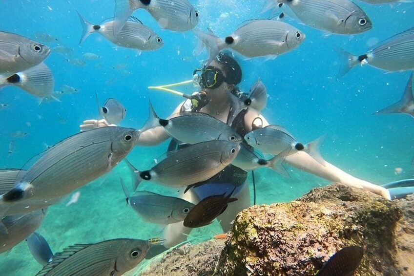 A diver surrounded by fish in clear blue water. 1