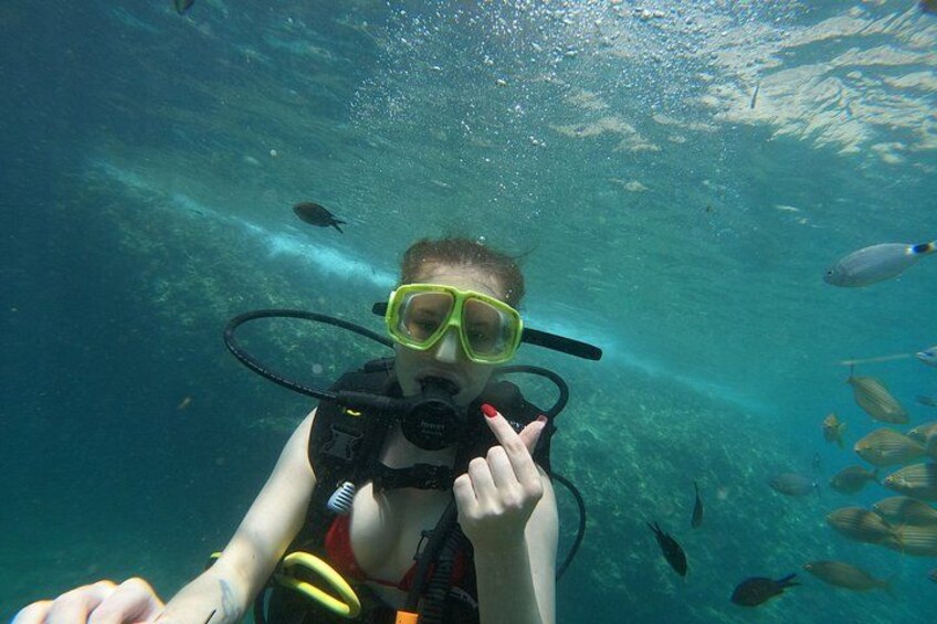 A person scuba diving underwater with fish around. 3