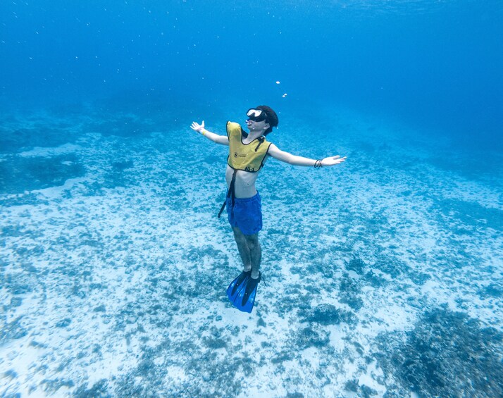 Cozumel Snorkel Tour: Coral Reefs, El Cielo & Beach Break®