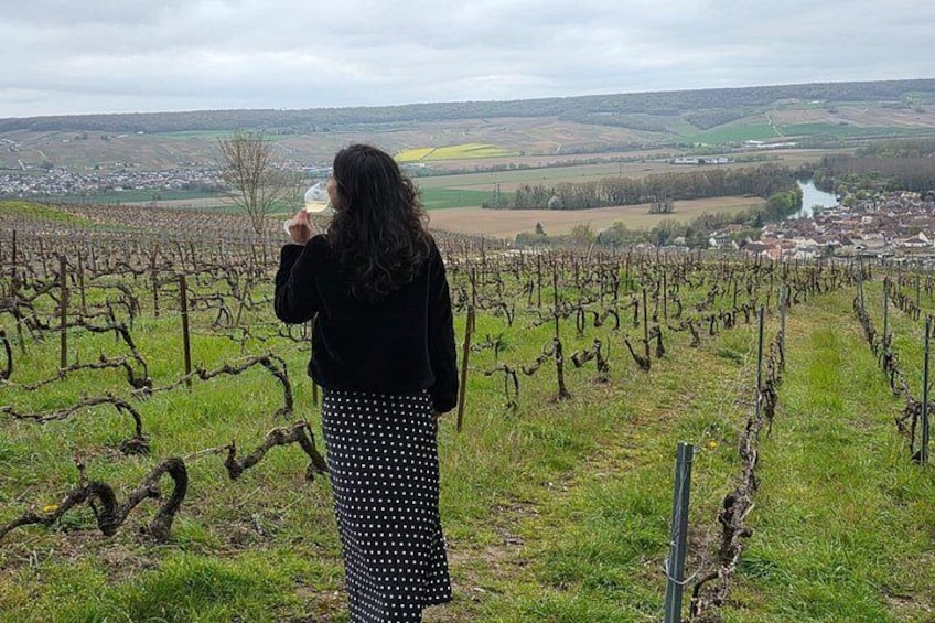 Champagne Munoz Bruneau : Half Day Visit and Tasting 2