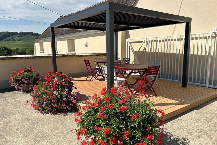 Flowered pergola at Champagne Munoz Bruneau 3