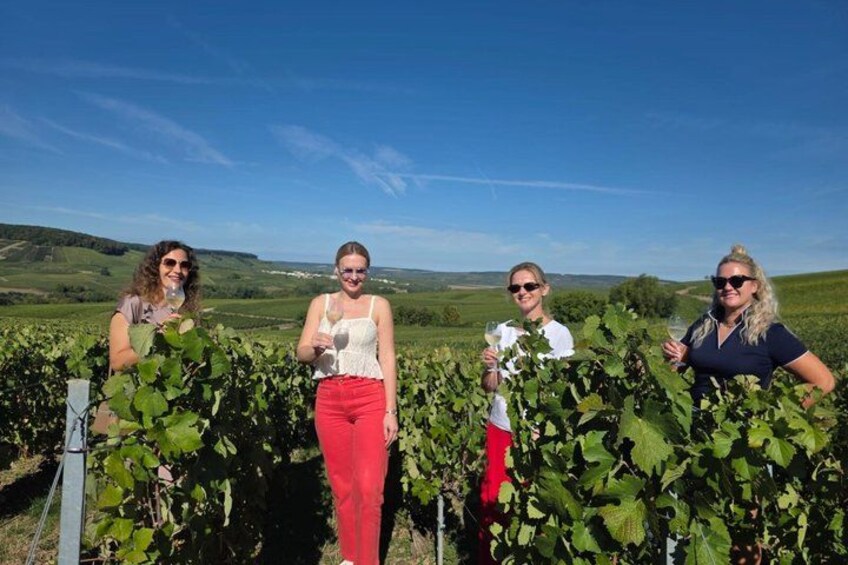 Four people standing in a vineyard with rows of grapevines. 4