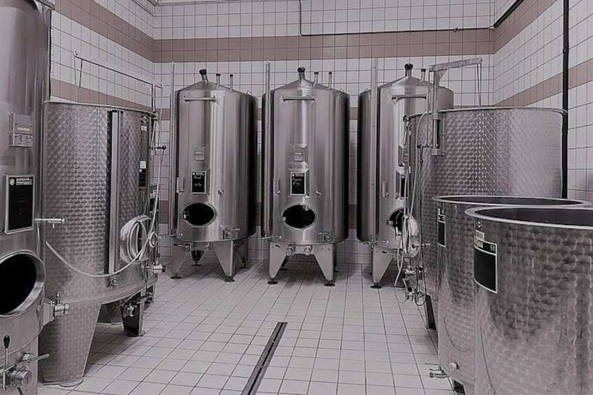 Vat Room at Champagne Munoz Bruenau 2