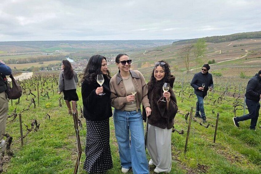 A group of people in a vineyard with rows of grapevines and a distant view of a valley. 3