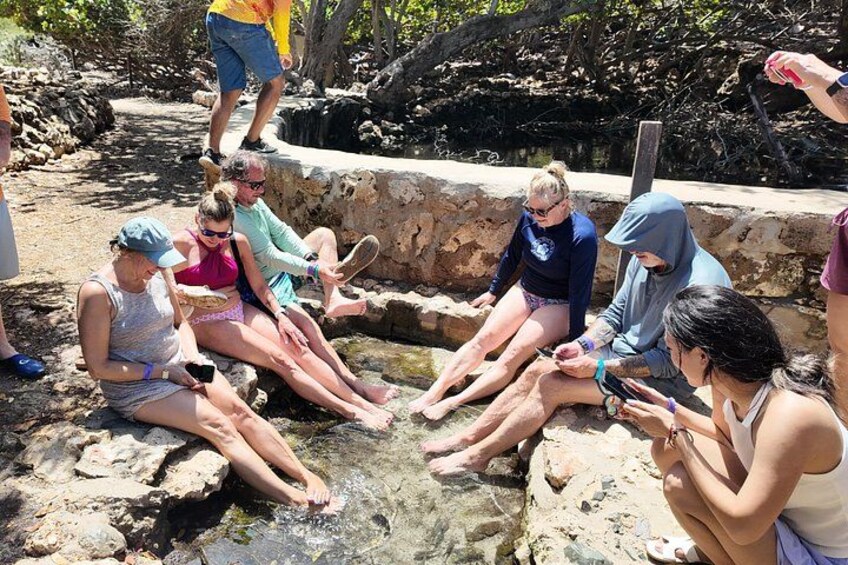 National Park Arikok Jeep Safari Adventures 2