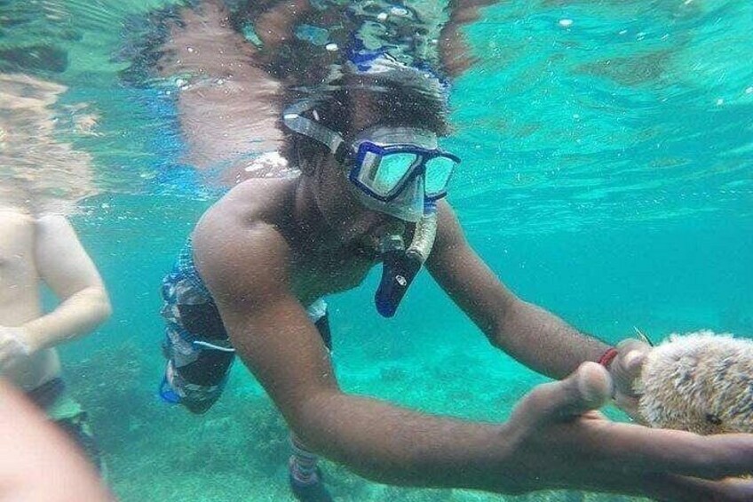 A person snorkeling underwater, holding a sea creature. 2