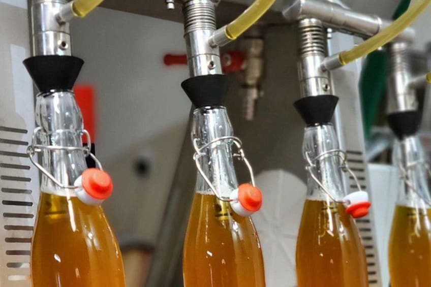 En række glasflasker med orange væske, forbundet til en metalanordning med ventiler og slanger. 2