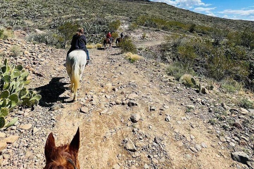 A rocky trail with horses and riders. 2