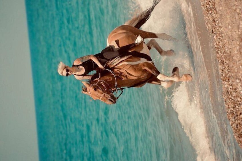 Un cavallo e un cavaliere su una spiaggia con le onde. 2