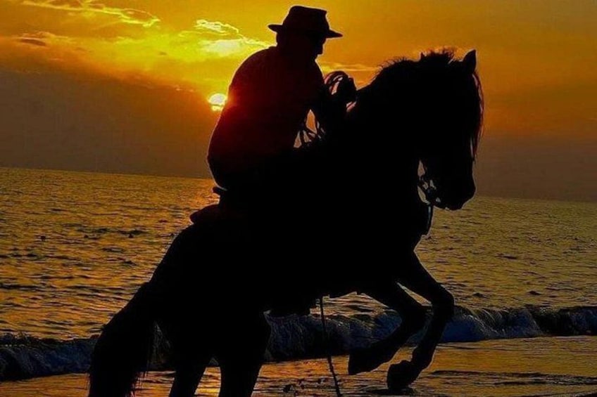 Siluetta di una persona a cavallo sullo sfondo di un tramonto sull'oceano. 5