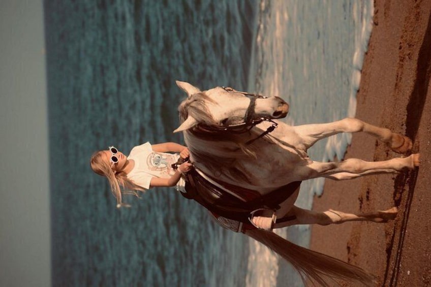 Una persona cavalca un cavallo su una spiaggia, con l'oceano sullo sfondo. 3