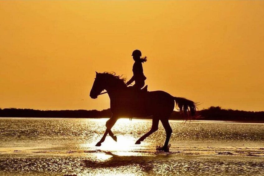 Silouette di una persona a cavallo su una spiaggia al tramonto. 1