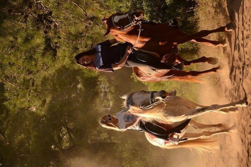 Due cavalli con cavalieri su un sentiero sterrato, fiancheggiato da erba. 4