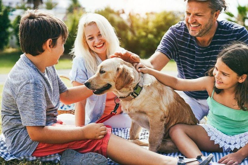 A family with a dog on a picnic blanket outdoors. 1