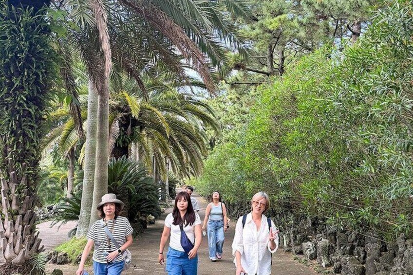 Jeju West & South Summer Hydrangea Tour with Unesco Site 5