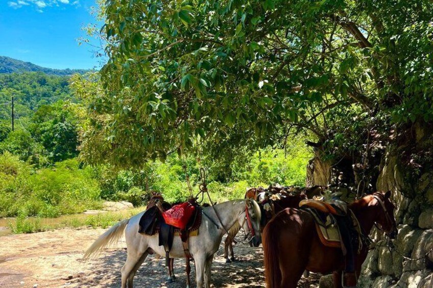 Snorkel in Majahuitas and waterfall in Quimixto 3