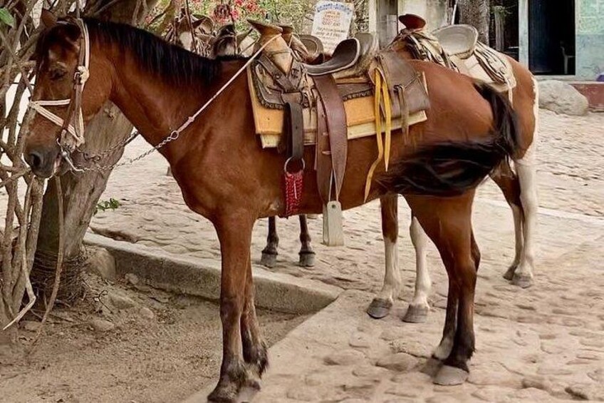A brown horse with a saddle and bridle, standing on a cobblestone path. 3