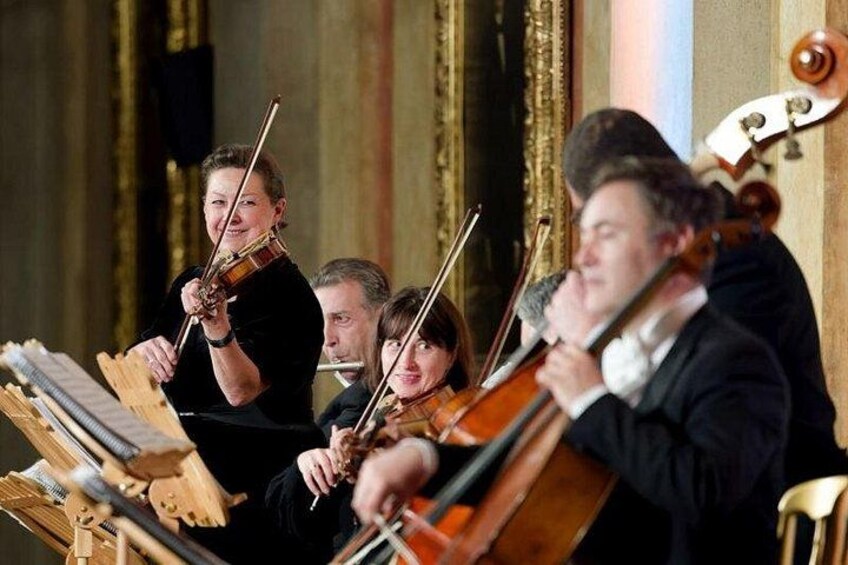 A group of musicians playing violins in a formal setting. 3