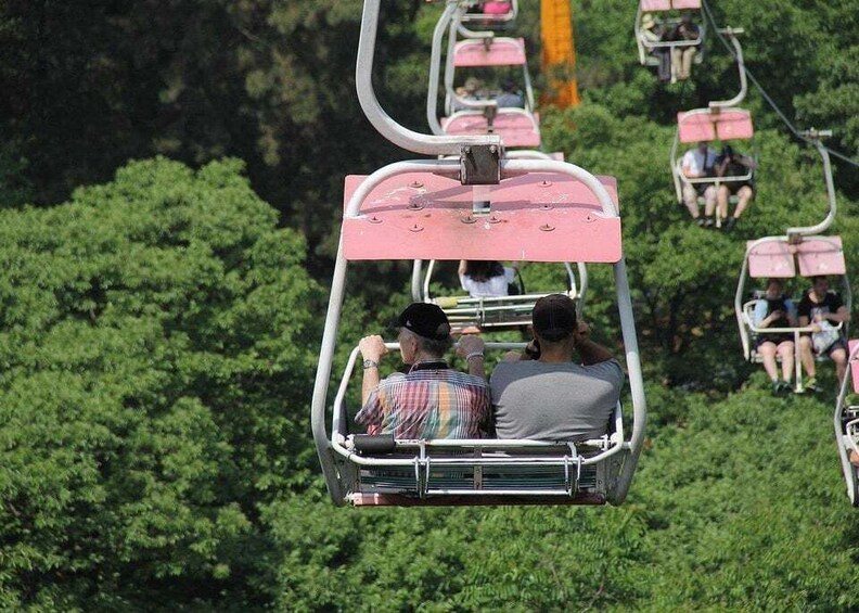 Picture 3 for Activity Beijing Mutianyu Great Wall Entry Tickets Slide Toboggan 3