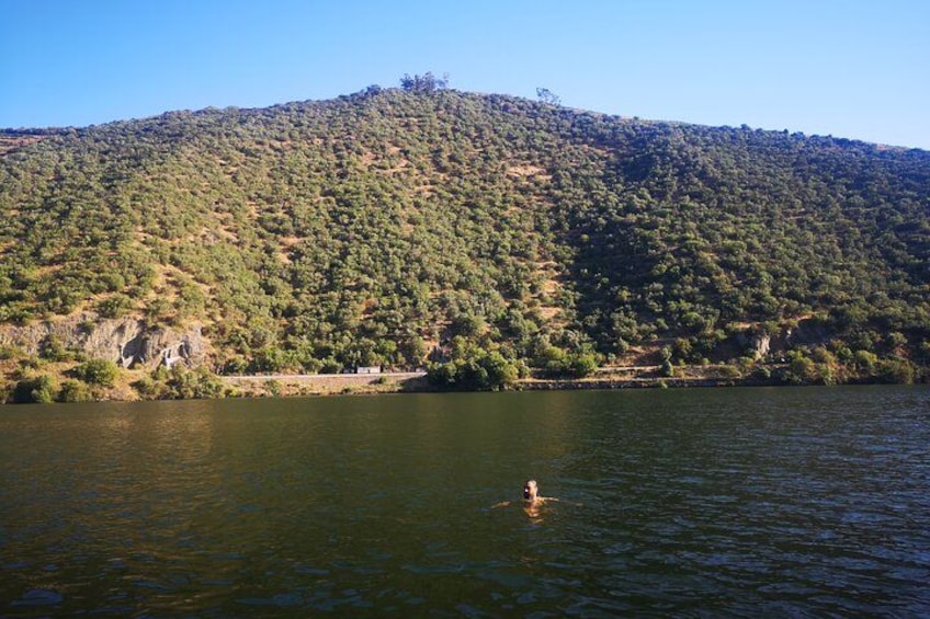 A calm lake with a swimmer in the water, surrounded by a forested hillside. 3