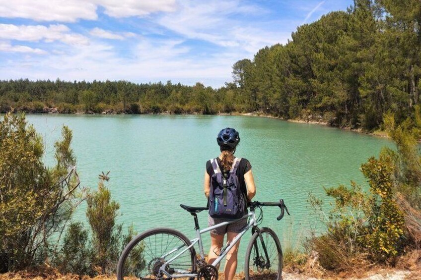 From Bordeaux: Médoc Gravel Bike Tour & French Picnic 4