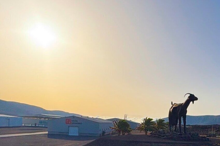 Fuerteventura most Exclusive Island Sightseeing Grand Tour 3