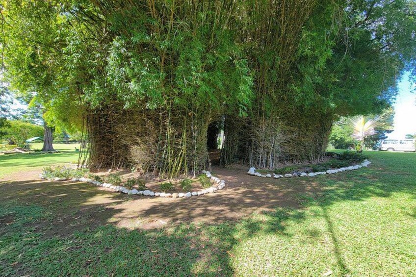 Botanic Gardens 5
