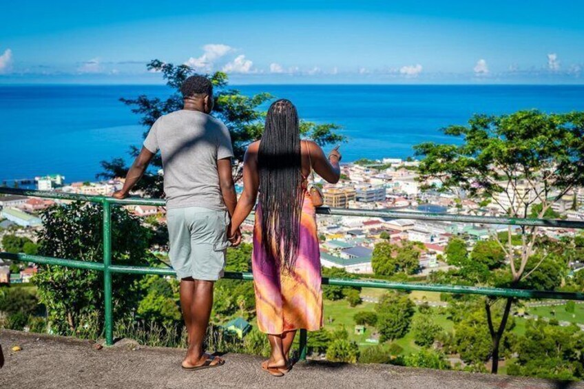 Scenic Tour of City and Rainforest, Waterfall, Sulphur Springs . 3