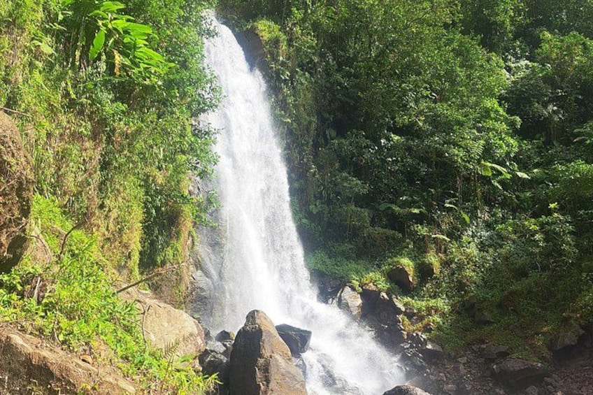 Una cascada rodeada de exuberante follaje. 2