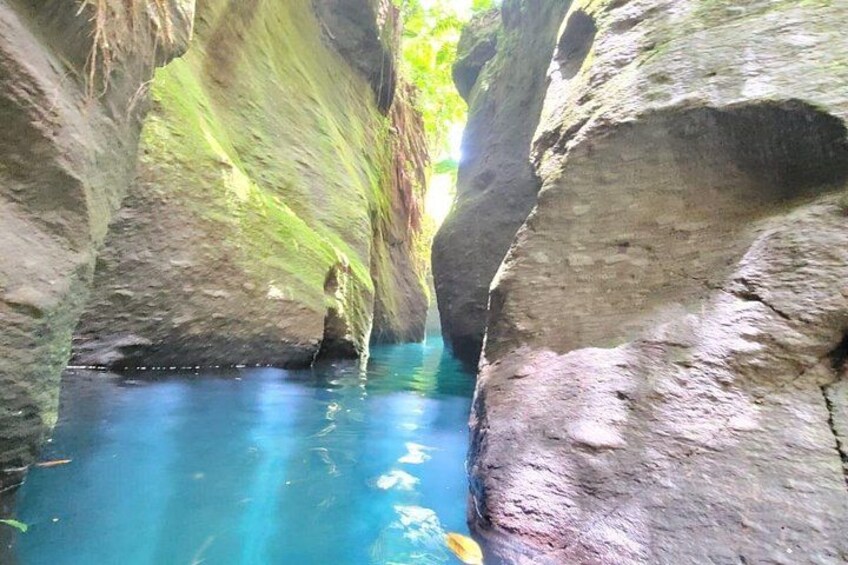 Ti tou Gorge 2