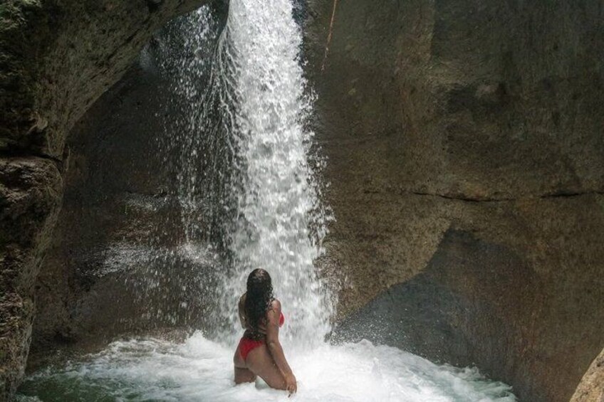 Scenic Tour of City and Rainforest, Waterfall, Sulphur Springs . 5