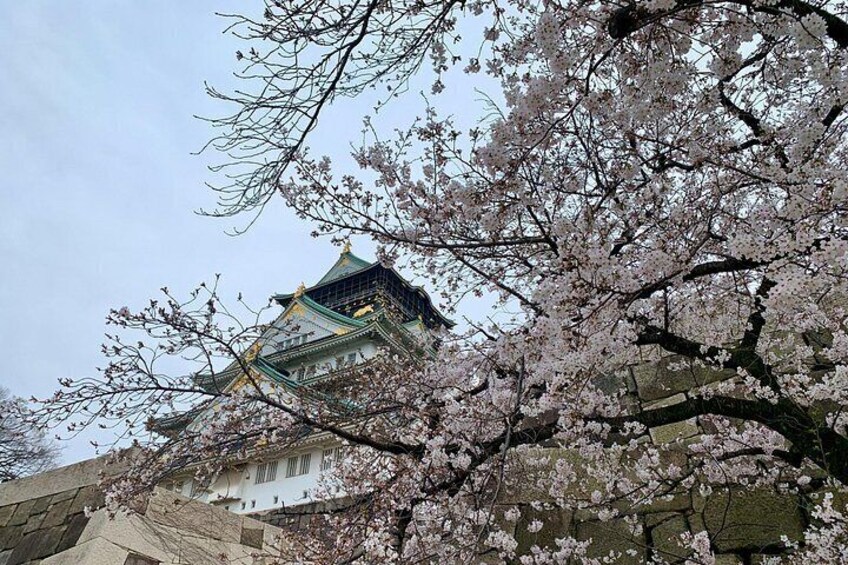 Osaka Highlights: 4Hrs Guided Walking Tour with a Native Expert 4