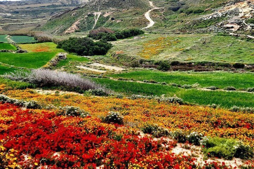 Valley View 5