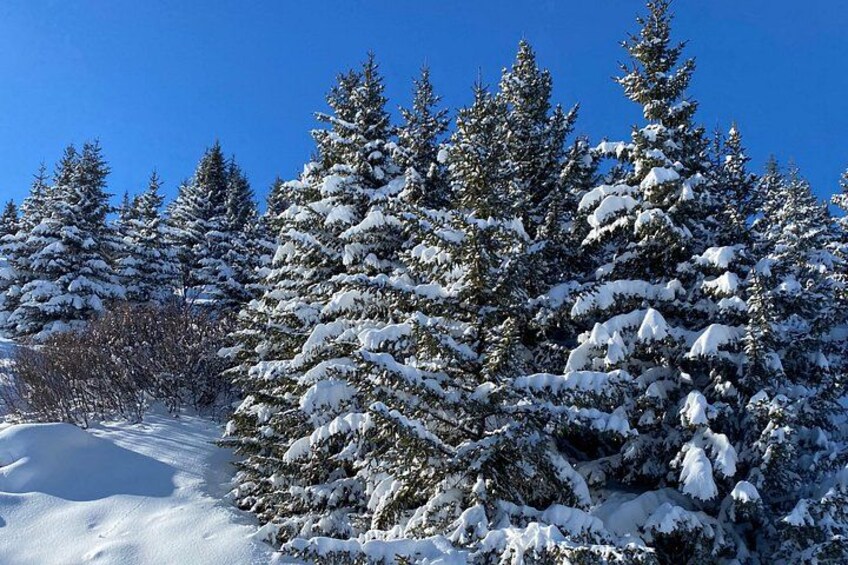 Luxury Private Concierge - Bespoke Courchevel Experience 3