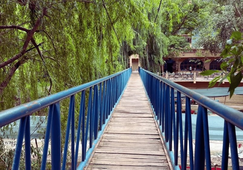 Picture 7 for Activity Marrakech: Ourika Valley & Atlas Mountains Waterfalls Tour 5