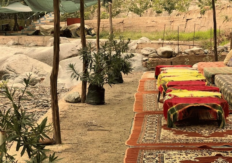 Picture 53 for Activity Marrakech: Ourika Valley & Atlas Mountains Waterfalls Tour 4